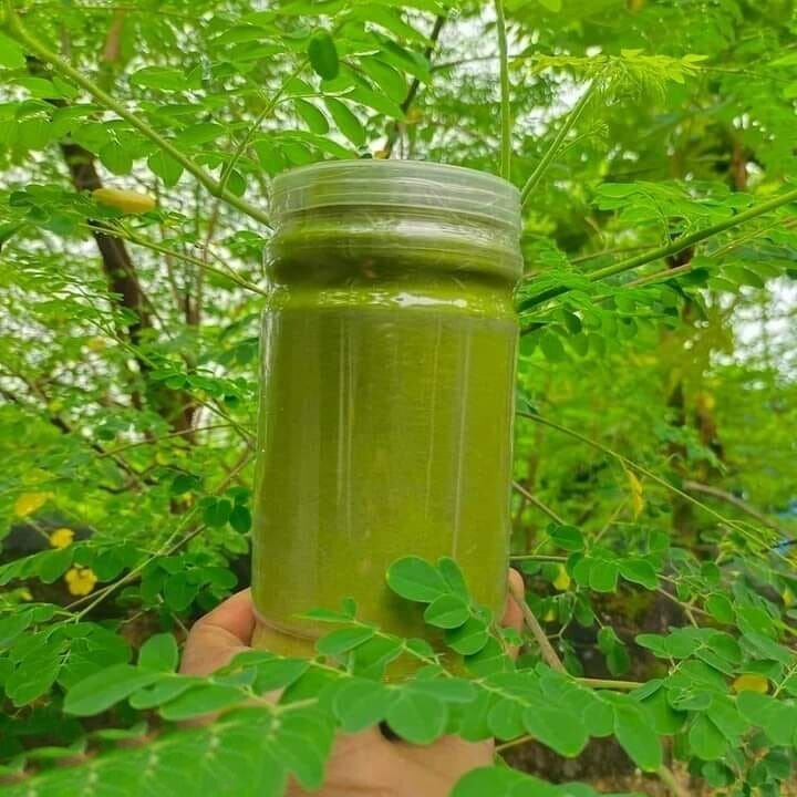 Sajne Powder